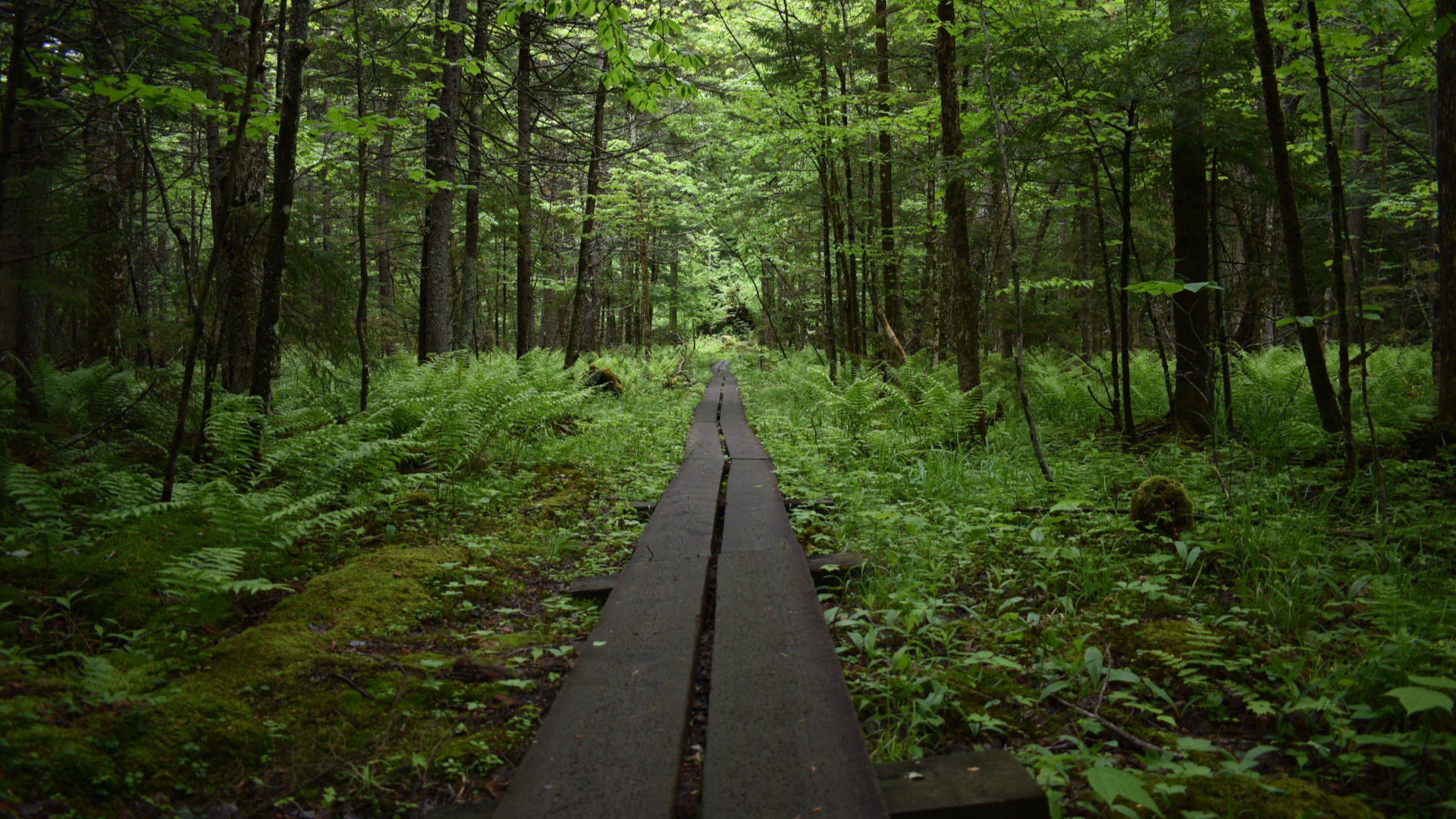 clear-a-path-reach-church